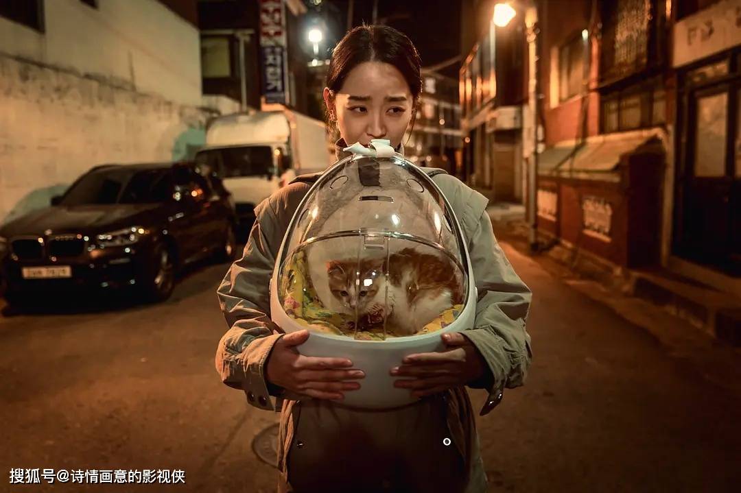 韩国限制级影片与自然美景的旅行探索