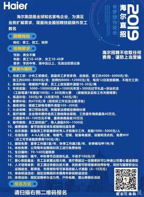 青岛海尔最新招聘动态及观点论述