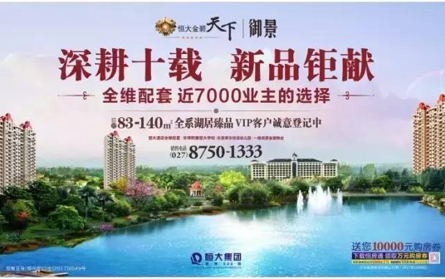 金银湖最新动态与相关观点深度解析