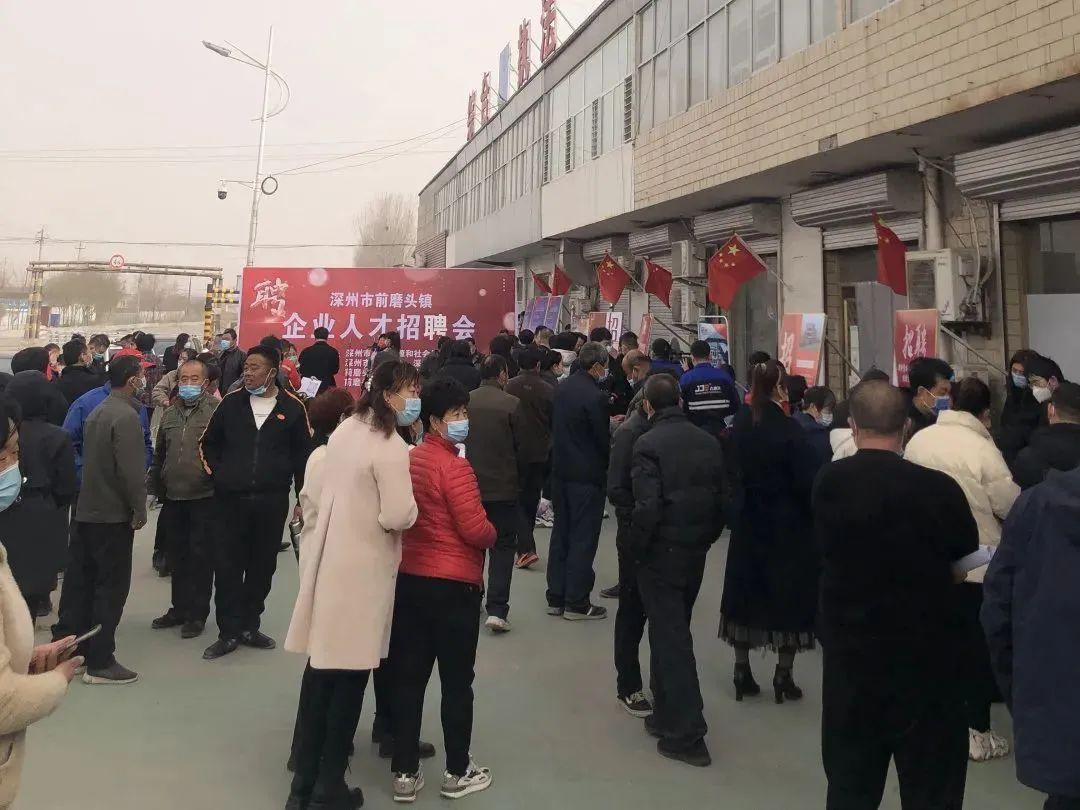 衡水招聘网最新招聘启事，寻找人才的温馨陪伴之旅