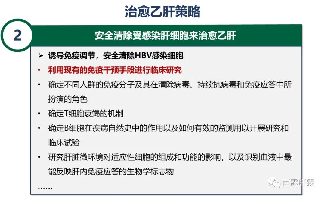 乙肝最新论述深度解析，观点阐述与深度分析