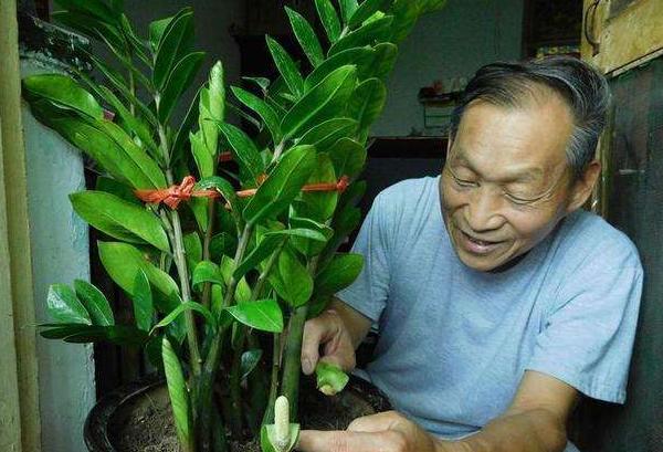 花店招聘最新动态，招聘信息全面更新