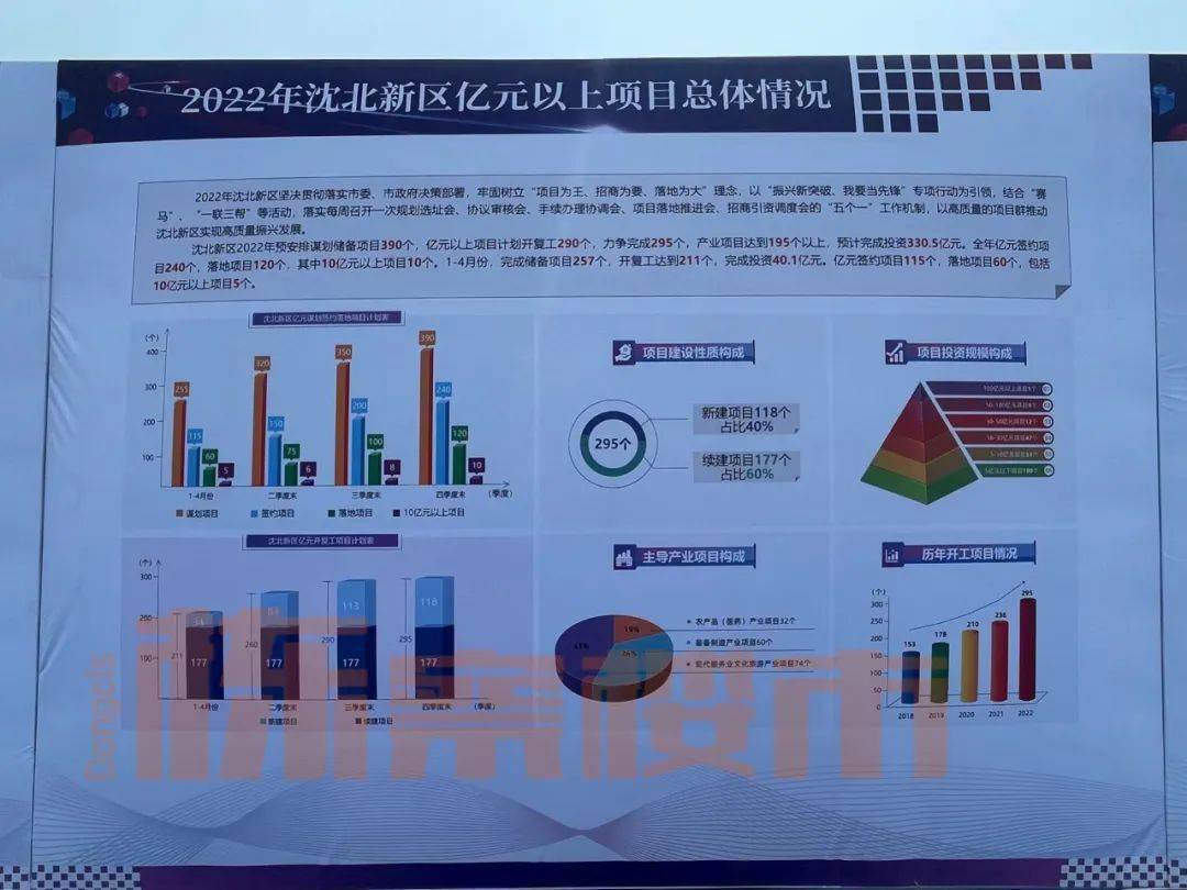 沈北新区发展双刃剑效应揭秘，最新动态与应对策略