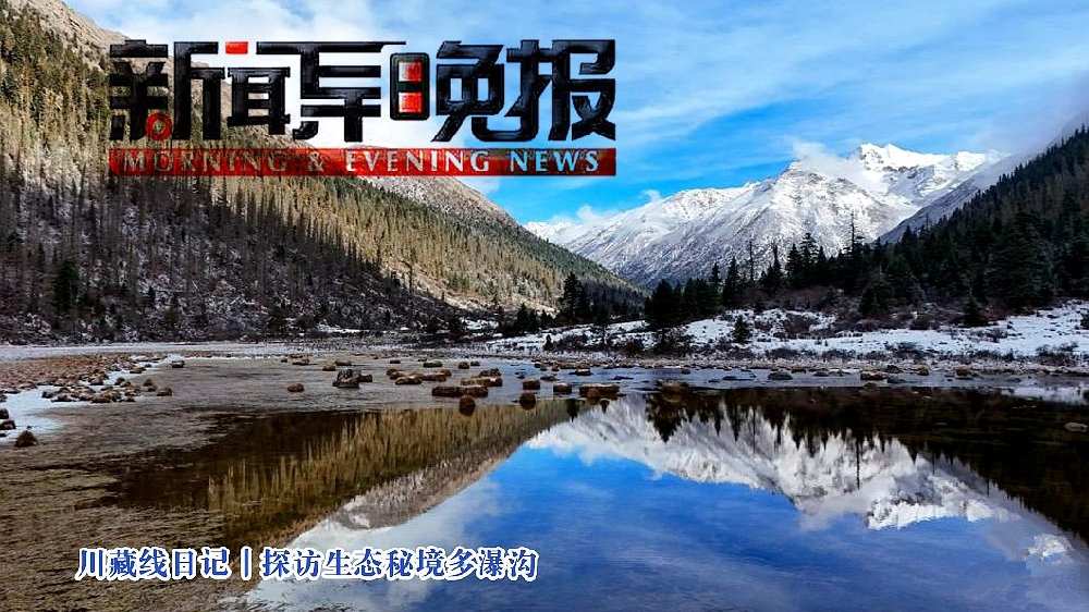 心灵与自然的奇妙之旅