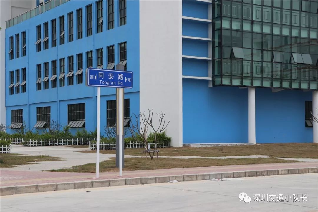 包钢集团最新动态与小巷深处的独特风味探秘