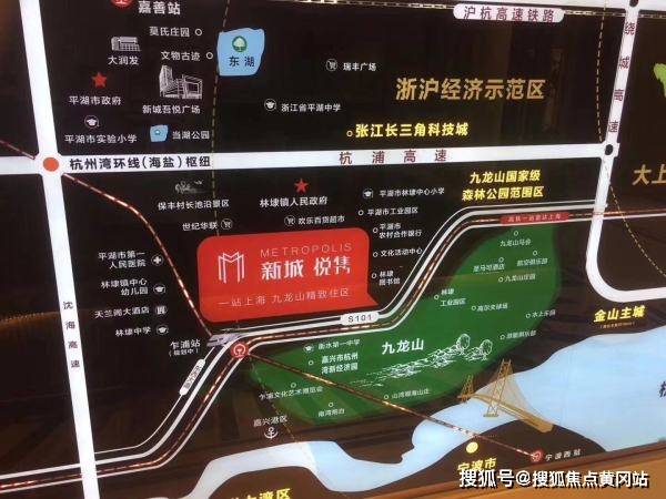 红宝丽收购最新动态，深度分析与观点阐述