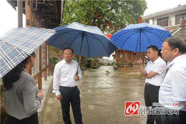 怀化高铁规划深度解析与最新消息阐述