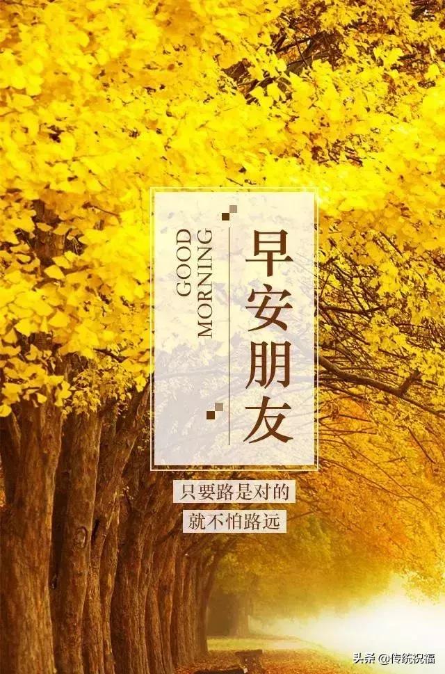 最新主人来电话铃声，变化、学习与自信的力量