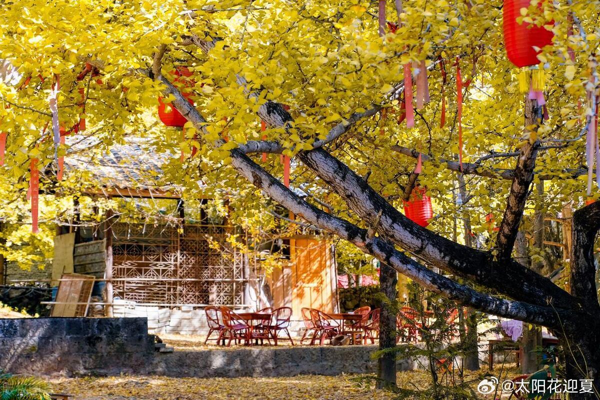 爱石榴爱社区最新地址，自然美景的治愈之旅探索之旅