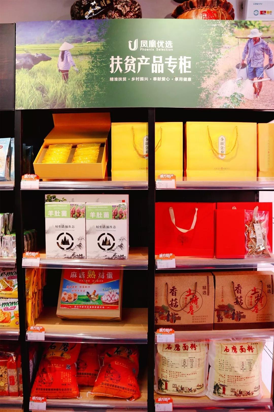碧桂园森林城市最新动态，自然美景的探索之旅，心灵重生与洗涤之地