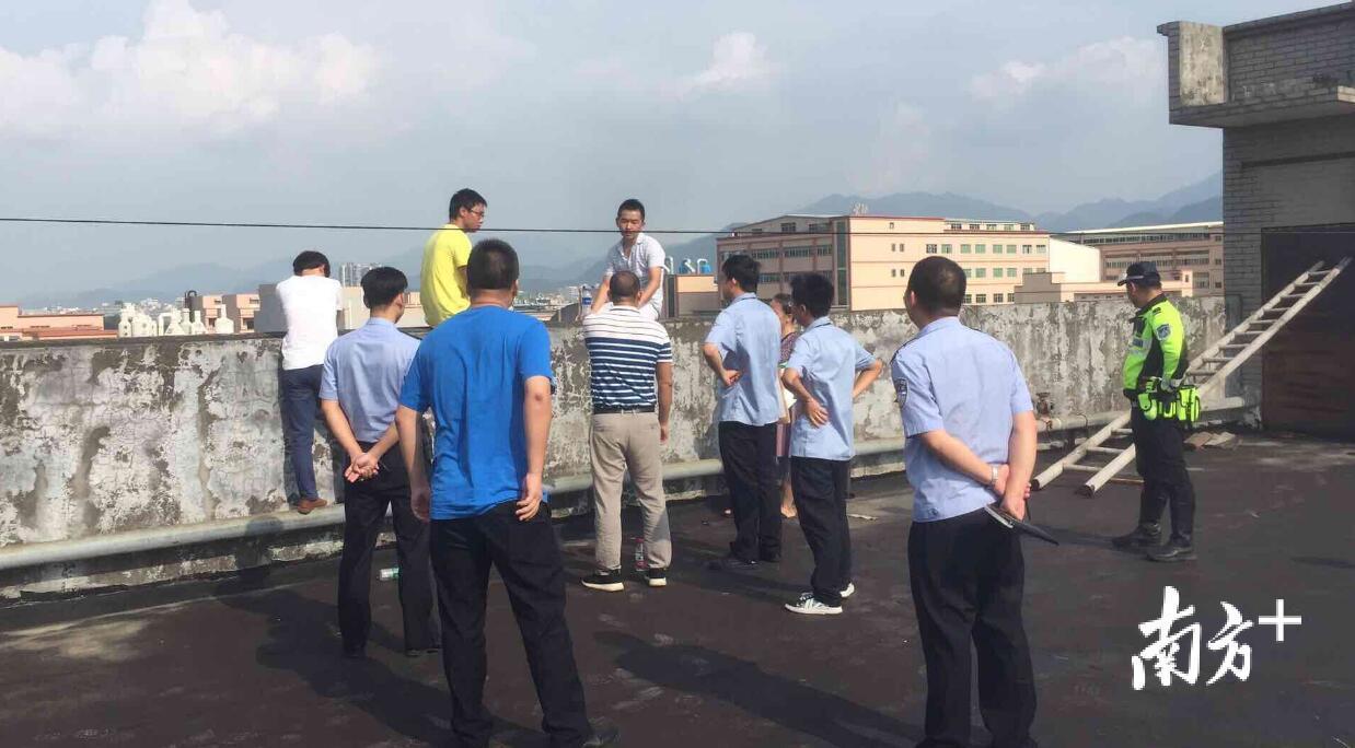 东莞谢岗赵林最新招聘及招聘步骤指南