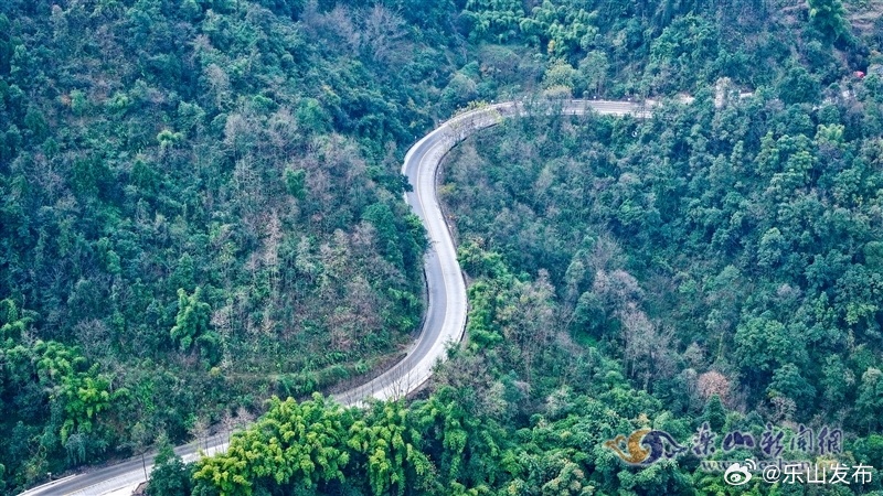 古叙扶贫公路最新动态，小巷深处的惊喜探索之旅
