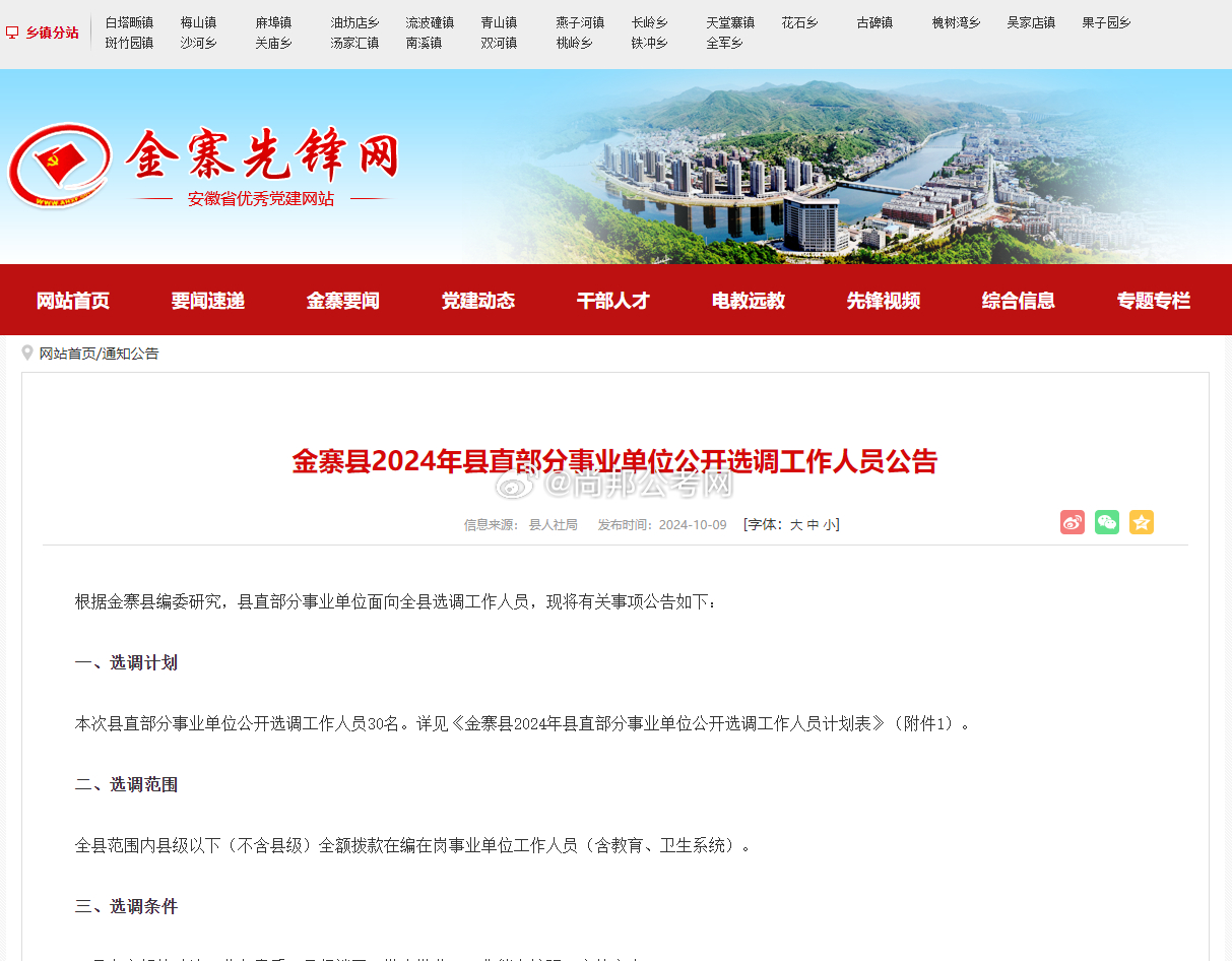 金寨最新招聘信息揭秘，小巷里的职业机遇等你来探索！