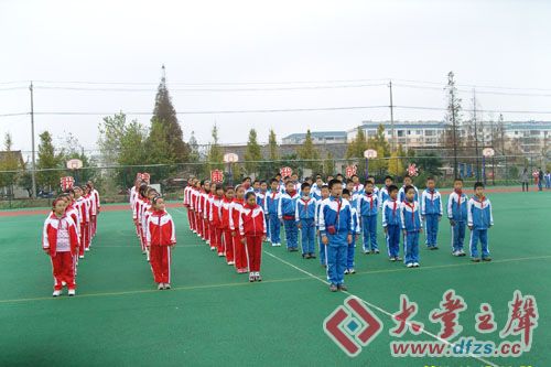 最新小学广播体操，宝藏与韵律的交融