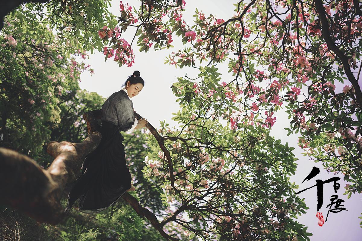 千百度最新探索之旅，自然美景的心灵抚慰之旅