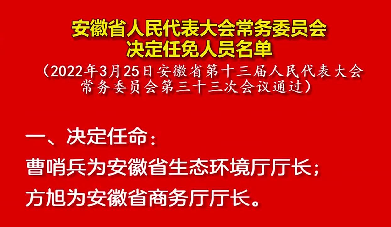 安徽省最新任命领导推动科技重塑生活，前沿产品引领未来创新之路