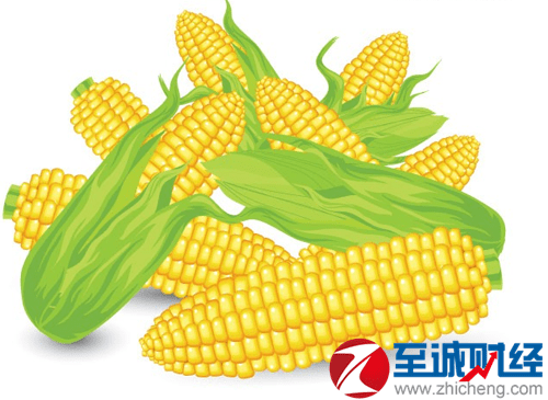 今日玉米最新价格，获取与理解玉米价格信息的途径和方法