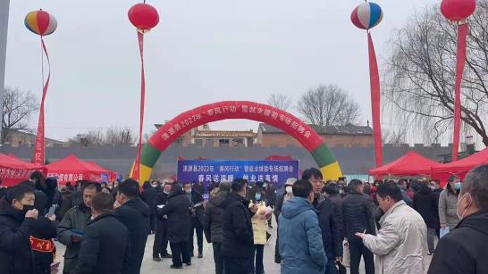 顺平最新招聘信息，小巷中的隐藏机遇