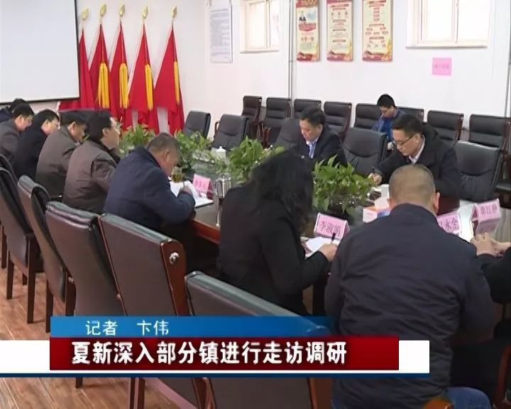 宁河新闻最新动态，区域发展的多维视角深度解析