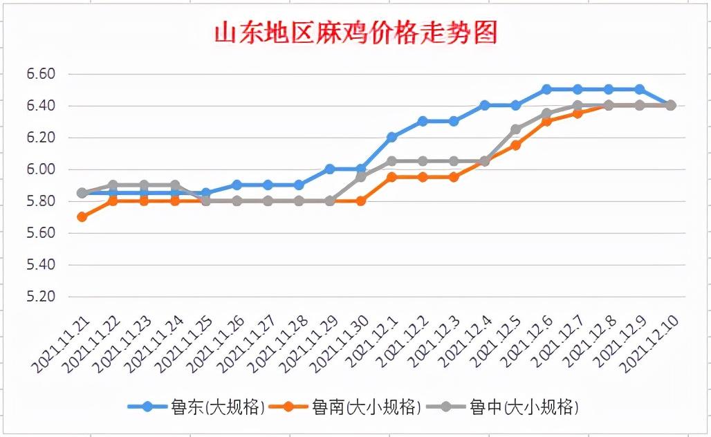 今日麻鸡最新价格，科技重塑价值，引领未来生活体验