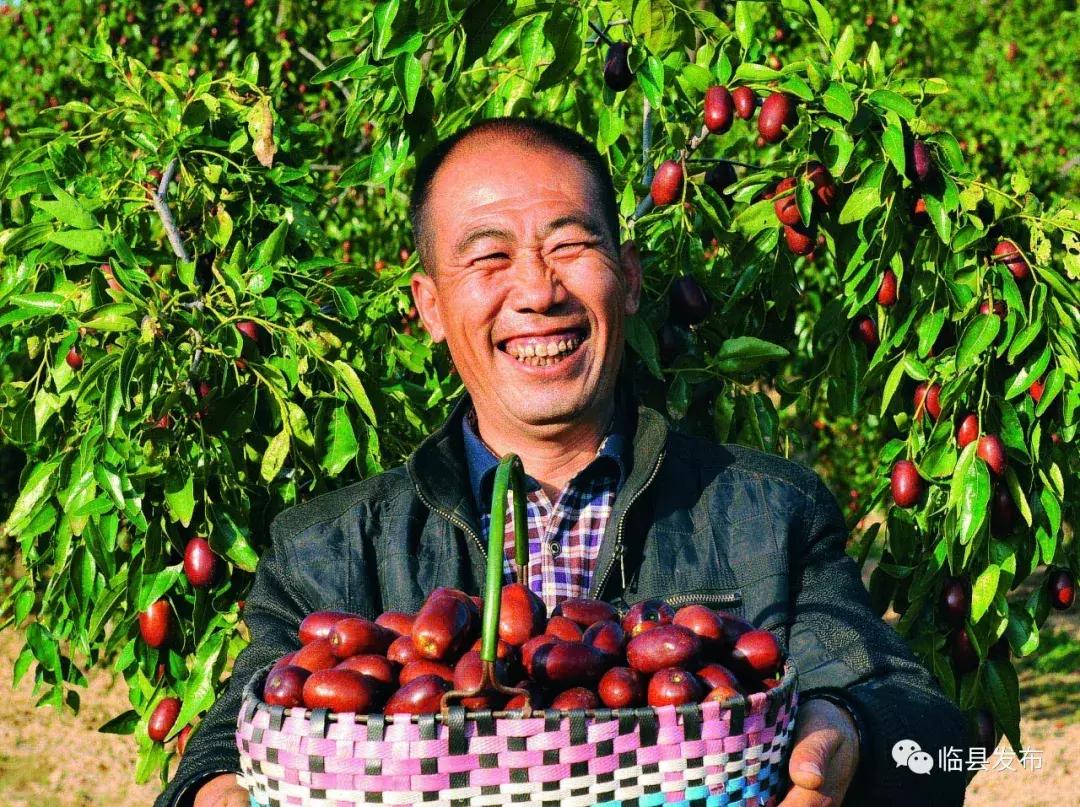 临县最新新闻报道