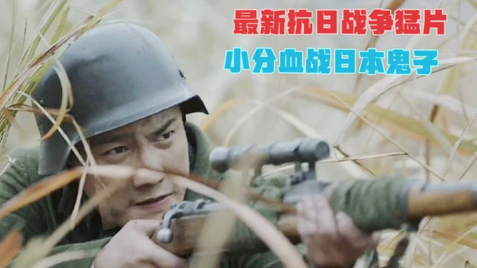 最新战争题材电视剧大盘点，深度解析与观点分享