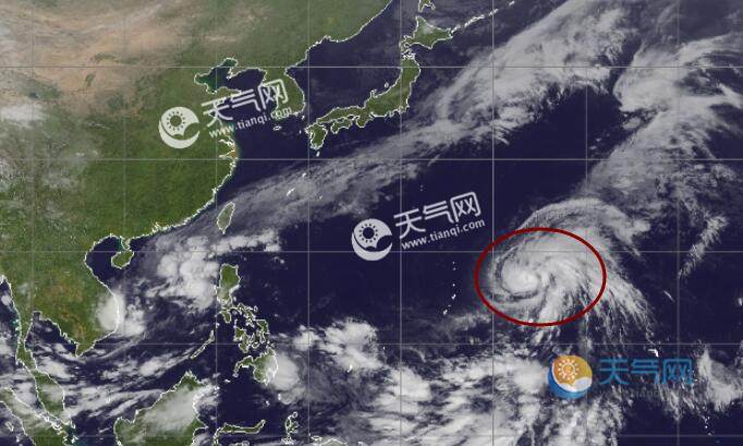 台风小趣事与家的温暖，关于台风最新消息的报道