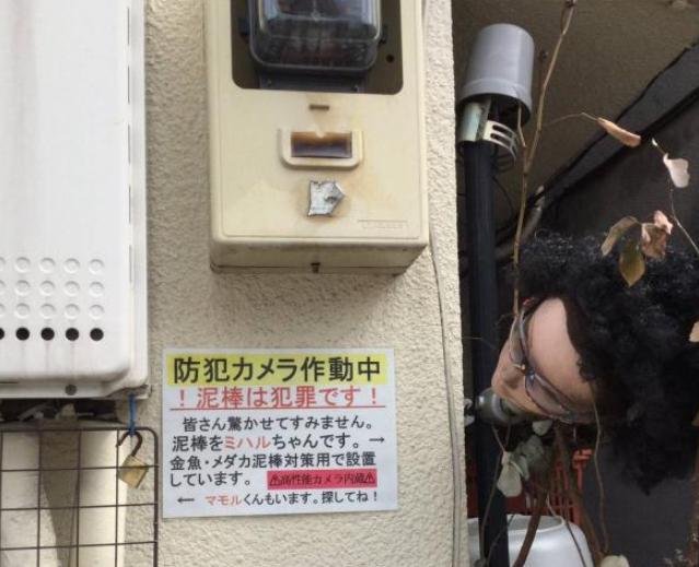 智能安全守护者，最新防盗高科技产品为您保驾护航！