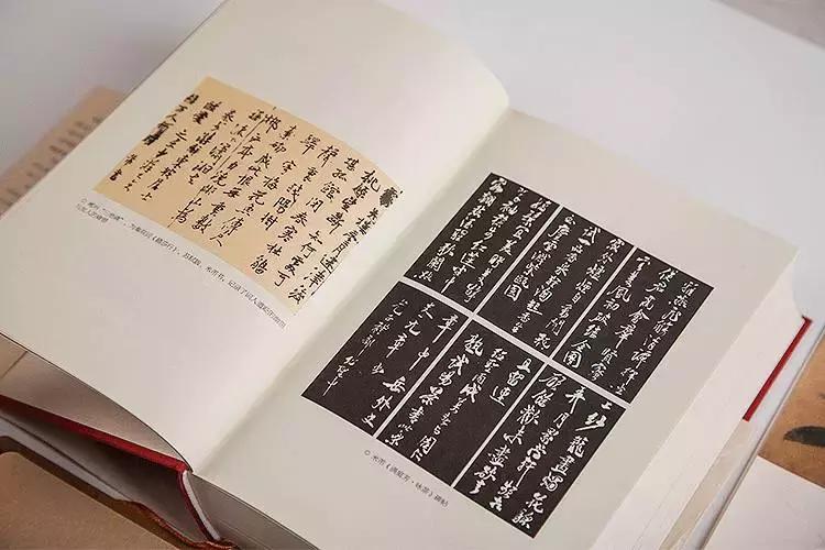 最新网络用词，学习指南与热门词汇探索