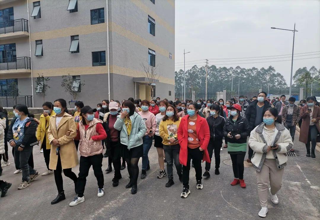 东莞沙田最新招聘信息，科技驱动未来，智能生活招聘启幕