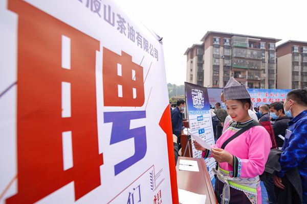 黔南招聘网最新招聘信息，友情与工作的美好相遇