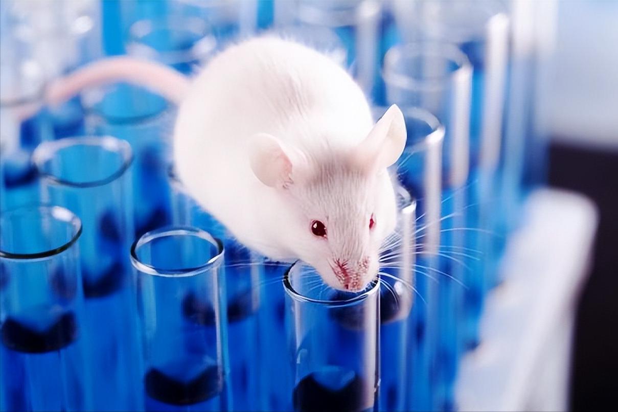 再生牙科技重塑未来，引领新生活的新突破消息！