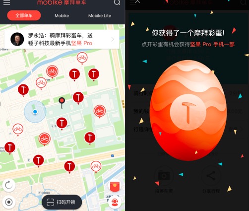 自信与成就感的魔法之旅，最新彩蛋揭秘