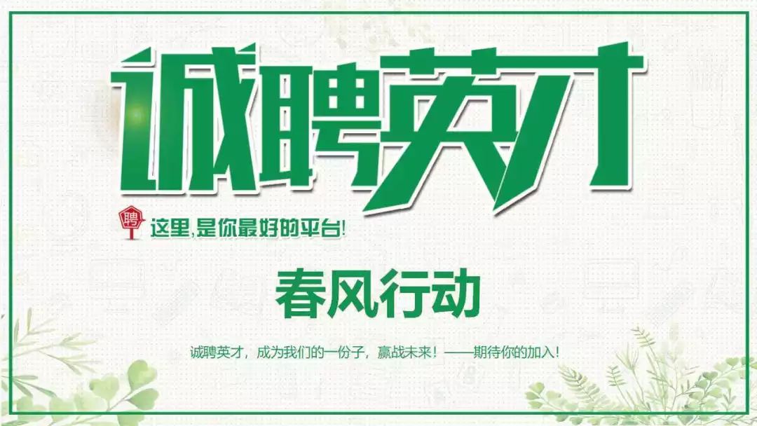 肥乡最新招聘信息概览