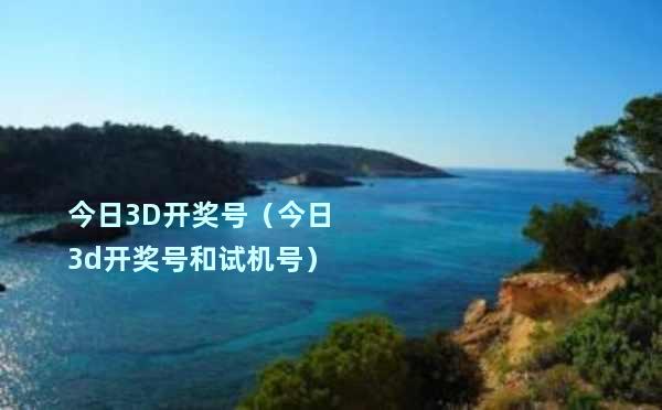 小明的奇妙一天，揭秘今日最新3D开机号