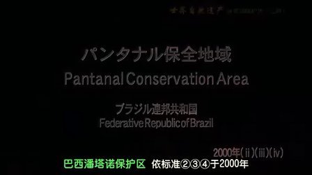 探索前沿，引领时尚潮流，最新1024资讯