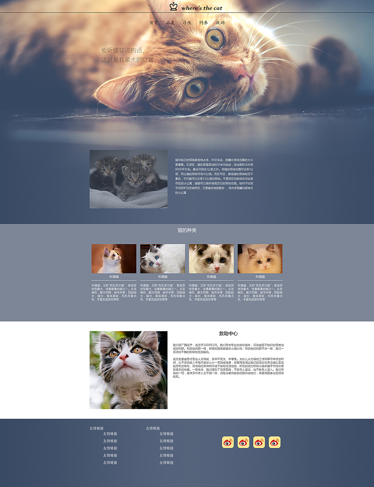 猫咪最新网站,猫咪最新网站，时代浪潮下的猫界盛事