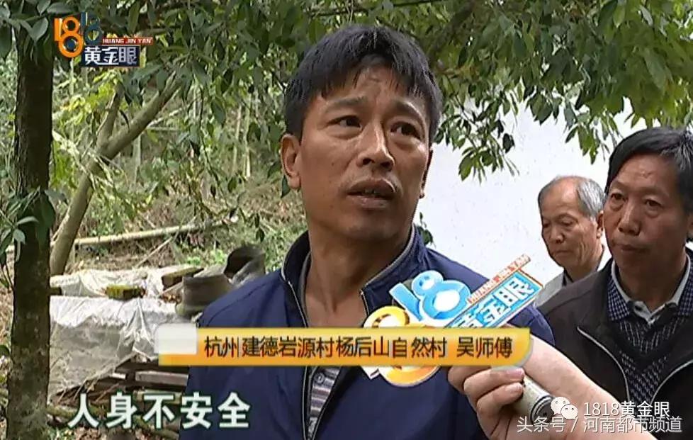 今天杭州地震最新消息,今天杭州地震最新消息，如何应对与自我保护的步骤指南