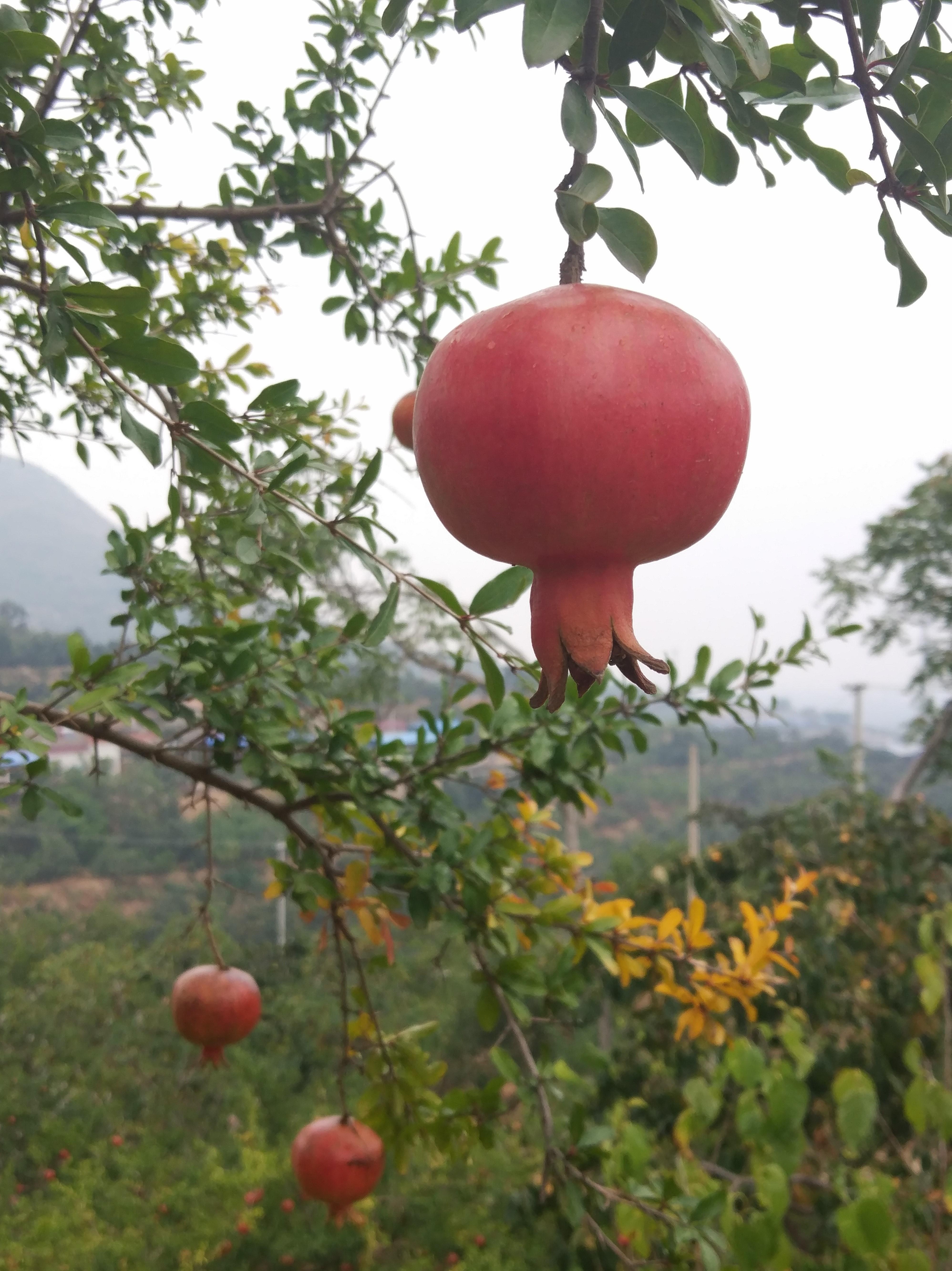 都市最强武帝，蜕变之力与无限可能的新章节